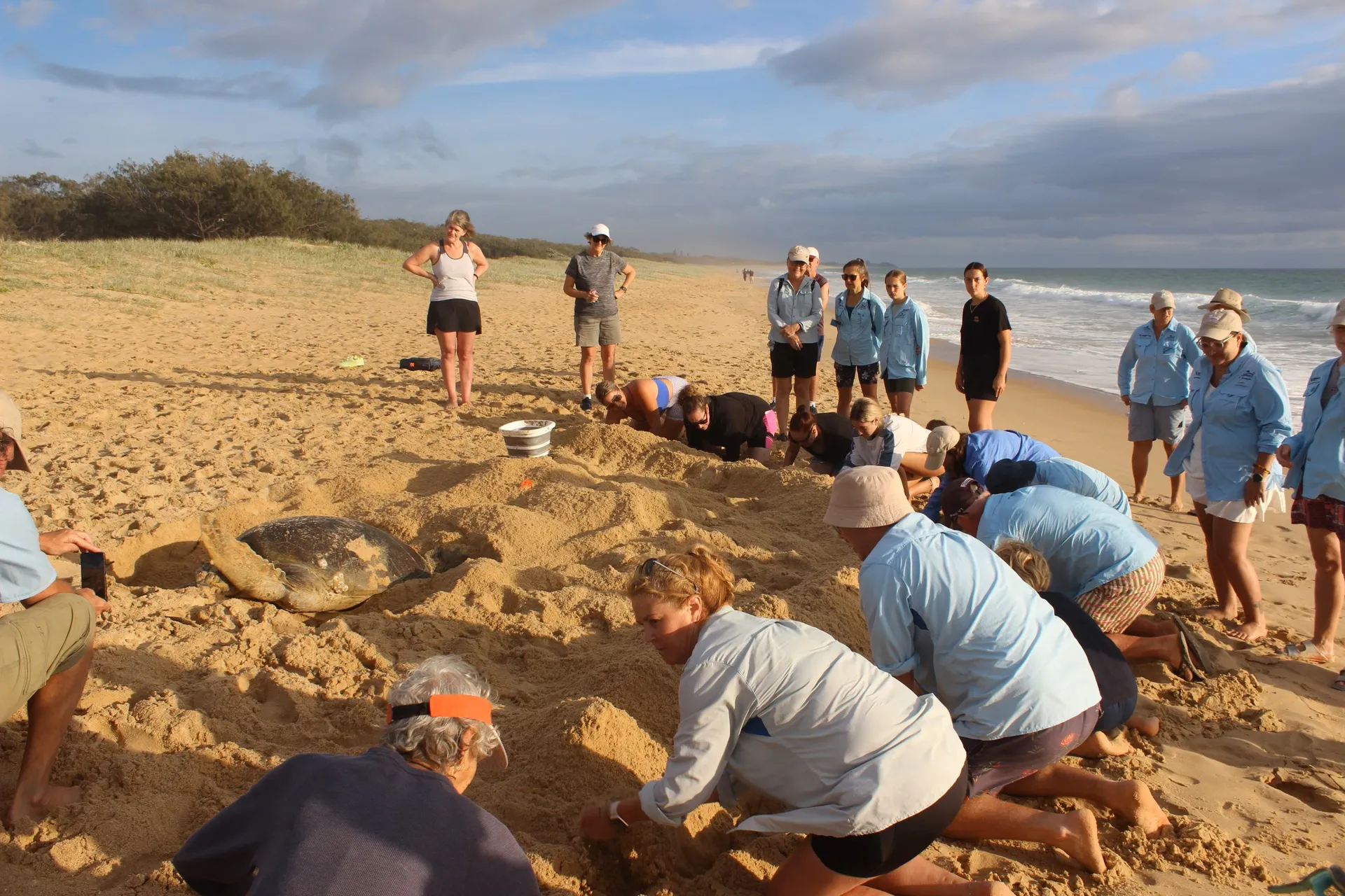 Group of TurtleCare volunteers building a bund wall to help protect the nesting mother. 